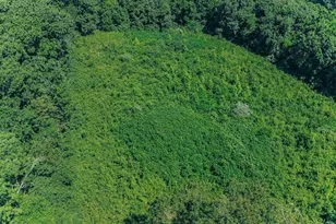 615 Corisande Hill Rd, Fenton, MO 63026 - Photo 59