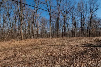 615 Corisande Hill Road, Fenton, MO 63026 - Photo 19