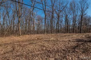 615 Corisande Hill Rd, Fenton, MO 63026 - Photo 19