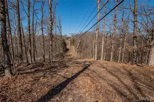 615 Corisande Hill Rd, Fenton, MO 63026 - Photo 21