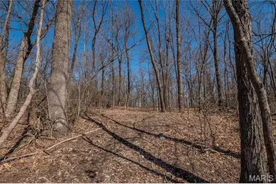 615 Corisande Hill Road, Fenton, MO 63026 - Photo 15