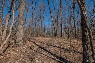 615 Corisande Hill Rd, Fenton, MO 63026 - Photo 15