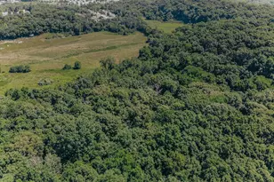 615 Corisande Hill Rd, Fenton, MO 63026 - Photo 57