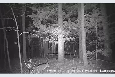 161 Cobblestone Road, Shelbyville, MO 65565 - Photo 43