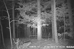 161 Cobblestone Rd, Shelbyville, MO 65565 - Photo 43