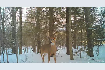 161 Cobblestone Road, Shelbyville, MO 65565 - Photo 7