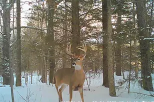 161 Cobblestone Rd, Shelbyville, MO 65565 - Photo 7