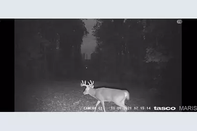 161 Cobblestone Road, Shelbyville, MO 65565 - Photo 39