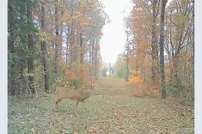 161 Cobblestone Road, Shelbyville, MO 65565 - Photo 45