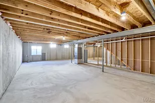 114 Peruque Creek Manor, Wright City, MO 63390 - Photo 59