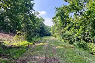 0 Mimeaux Ct, Bonne Terre, MO 63628 - Photo 1