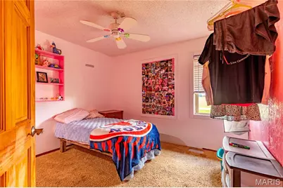 20 & 30 Artic Lane, East Prairie, MO 63845 - Photo 13