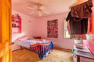 20 & 30 Artic Ln, East Prairie, MO 63845 - Photo 13