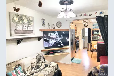 1003 W Ellis Street, Salem, MO 65560 - Photo 19