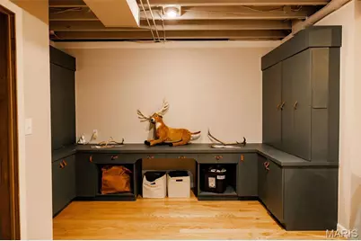 11 Dumaine Street, Cape Girardeau, MO 63701 - Photo 61