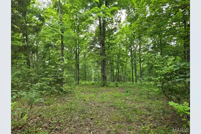 0 Mark Peterson Drive, Wright City, MO 63390 - Photo 5