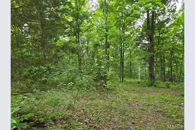 0 Mark Peterson Drive, Wright City, MO 63390 - Photo 1