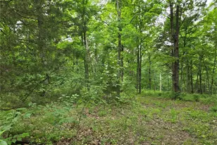 0 Mark Peterson Dr, Wright City, MO 63390 - Photo 1