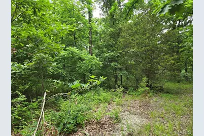 0 Mark Peterson Drive, Wright City, MO 63390 - Photo 3