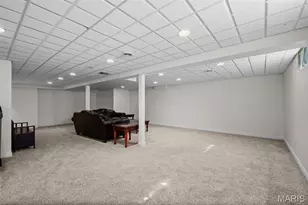 3832 Fleur Du Bois Dr, Florissant, MO 63034 - Photo 47
