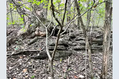 219 Fawn Drive, Union, MO 63084 - Photo 3