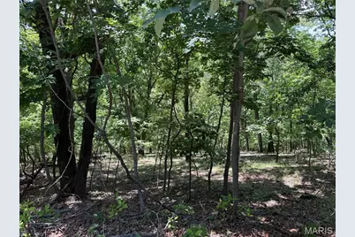 1361 Bear Canyon Road, Wildwood, MO 63021 - Photo 1