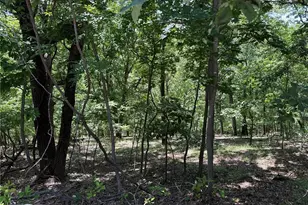 1361 Bear Canyon Rd, Wildwood, MO 63021 - Photo 1