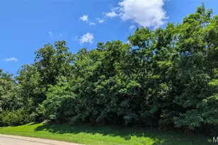 3 58 Ac N Market St, Warrenton, MO 63383 - Photo 1