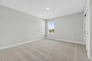 301 Switchgrass Lndg Ln, Cottleville, MO 63304 - Photo 69