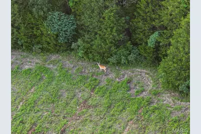 58.74 Acres Highland Fling, Sullivan, MO 63080 - Photo 21