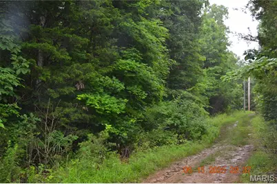 0 Old Cadet Rd, Bonne Terre, MO 63628 - Photo 1