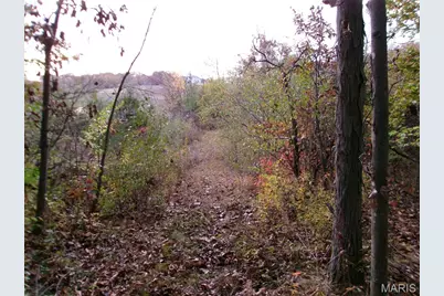 14816 Highway Uu, Bowling Green, MO 63334 - Photo 43