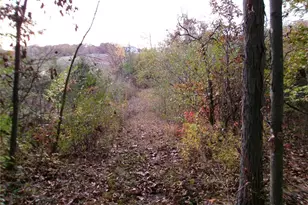 14816 Hwy Uu, Bowling Green, MO 63334 - Photo 43