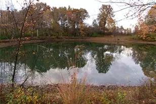 14816 Hwy Uu, Bowling Green, MO 63334 - Photo 51