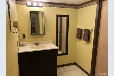 1427 Price Drive, Cape Girardeau, MO 63701 - Photo 29