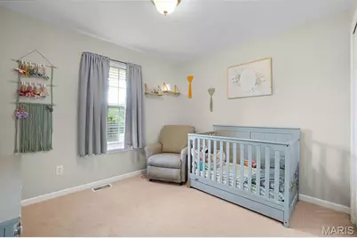 12987 Kimberly Lane, De Soto, MO 63020 - Photo 19