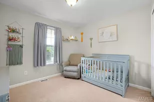 12987 Kimberly Ln, De Soto, MO 63020 - Photo 19