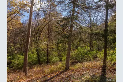 2273 Holtgrewe Road, Washington, MO 63090 - Photo 51