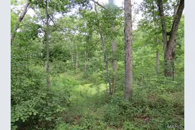 10756 Hamilton Hollow Road, Sullivan, MO 63080 - Photo 17