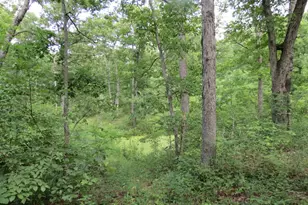 10756 Hamilton Hollow Rd, Sullivan, MO 63080 - Photo 17