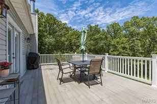 318 Doe Run Ln, Bonne Terre, MO 63628 - Photo 43