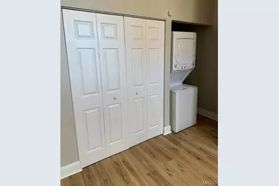 1956 Sidney Street, Saint Louis, MO 63104 - Photo 43