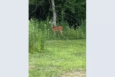 5000 Lily Ridge, Defiance, MO 63341 - Photo 3