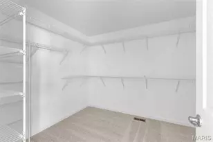 2 Hermitage II At Post Farms Enclave, O'Fallon, MO 63385 - Photo 23