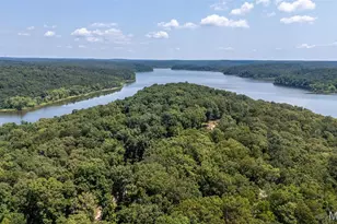 46 Dora Dr, Greendale, MO 63944 - Photo 3