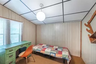 46 Dora Dr, Greendale, MO 63944 - Photo 17