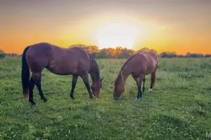 64234 Hwy 6, Greendale, MO 63544 - Photo 55