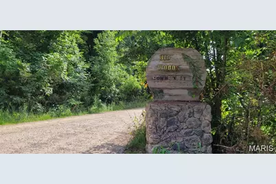 155 Lot Hill Side Rd, De Soto, MO 63020 - Photo 7