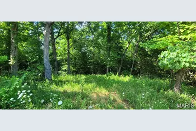 155 Lot Hill Side Rd, De Soto, MO 63020 - Photo 1