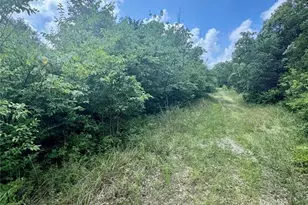 2669 Frederick Rd, Festus, MO 63028 - Photo 3